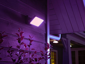Philips Hue Discover Outdoor Floodlight