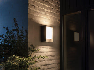 Philips Hue Fuzo Outdoor Wall Light